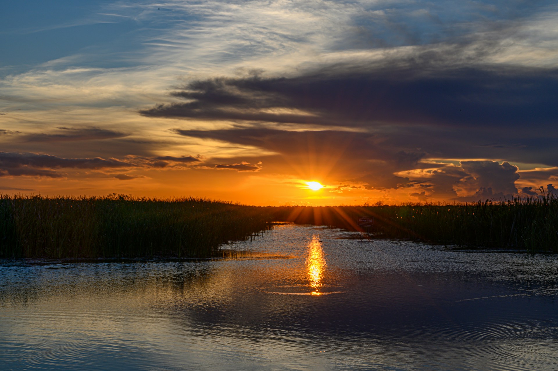 emergency restoration services in Florida near the Everglades